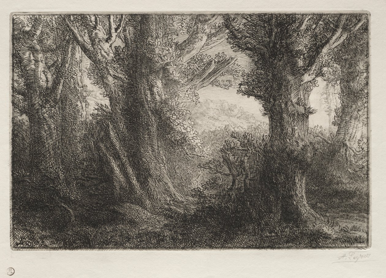 Dans la forêt à Conteville - Alphonse Legros