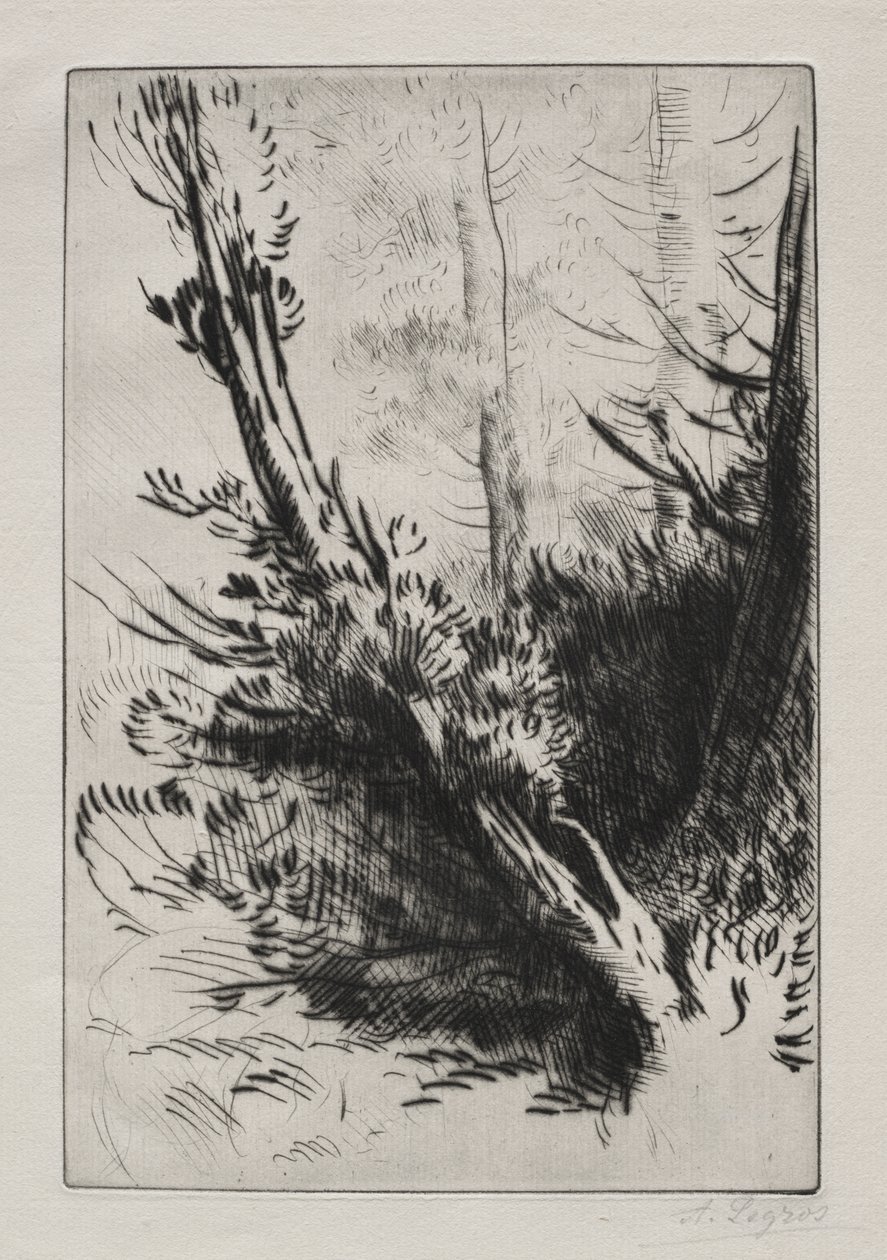 Dans les bois - Alphonse Legros