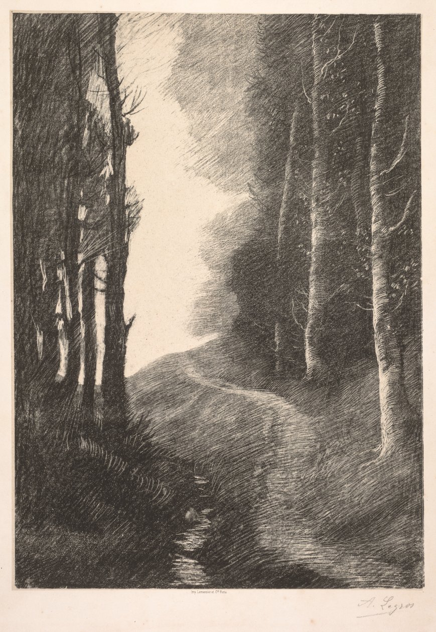 Paysage à Bouleaux - Alphonse Legros
