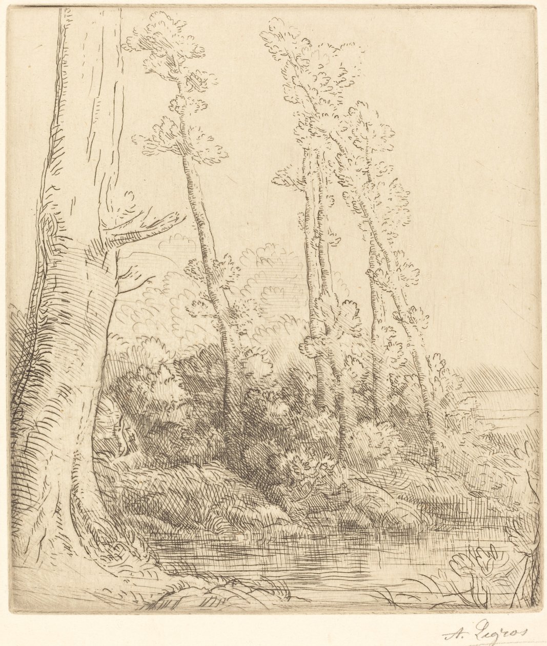 Petit étang (La petite mare) - Alphonse Legros