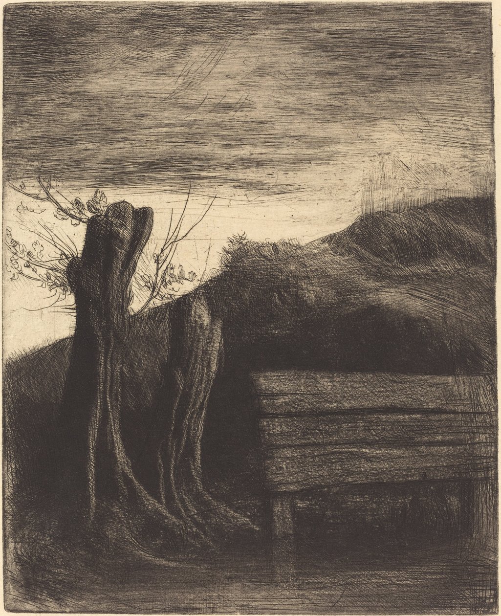 Les saules têtards - Alphonse Legros