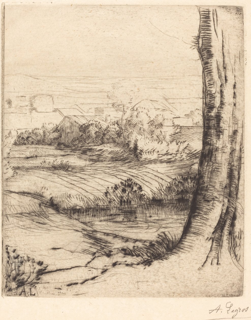 Vue de Coin de roseau - Alphonse Legros