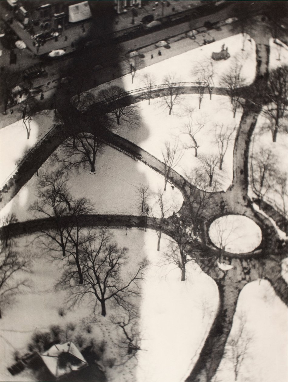 La pieuvre, New York - Alvin Langdon Coburn