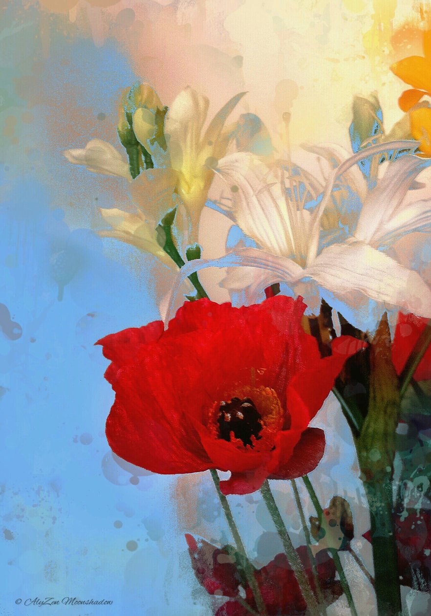 Coquelicot sur bleu, 2014 - AlyZen Moonshadow