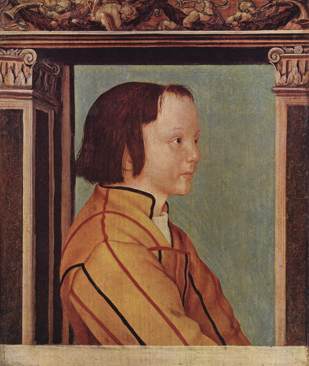 Garçon aux cheveux bruns - Ambrosius Holbein