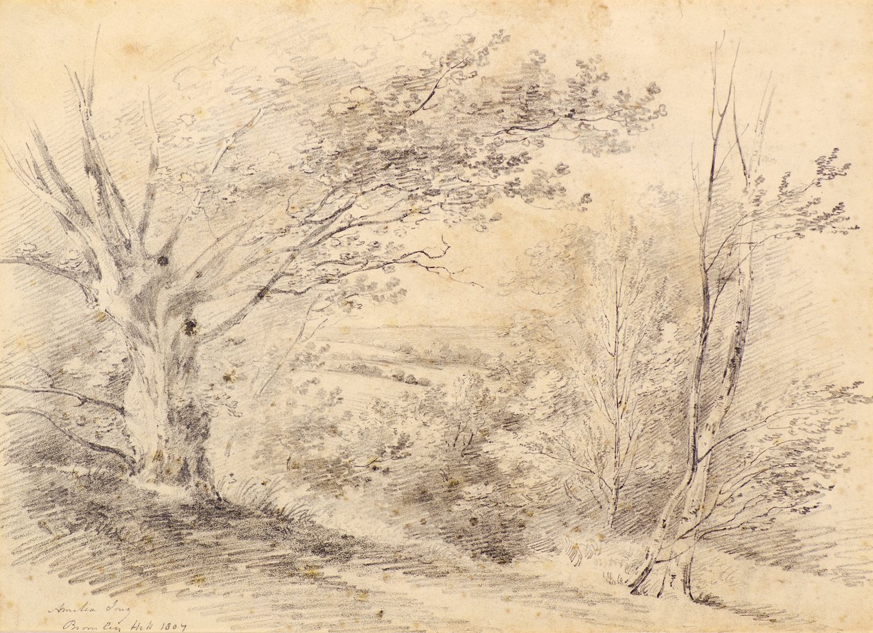 Bromley Hill - Amelia Long