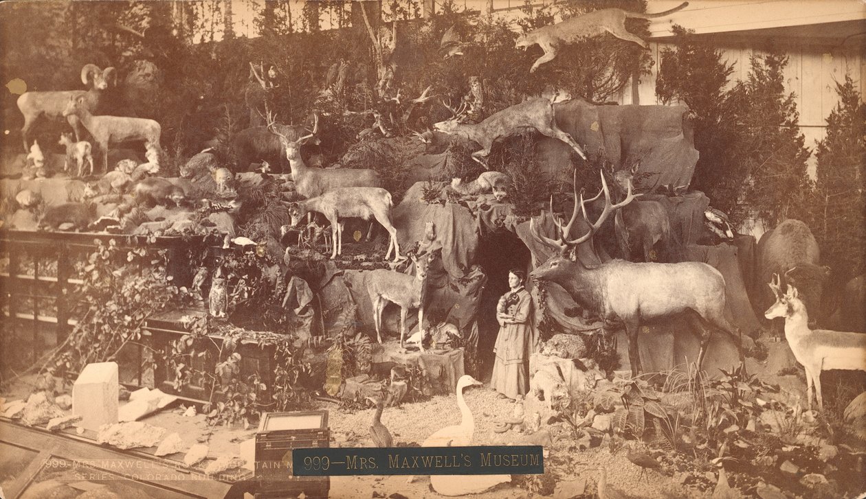 Musée de Mme Maxwell - American Photographer