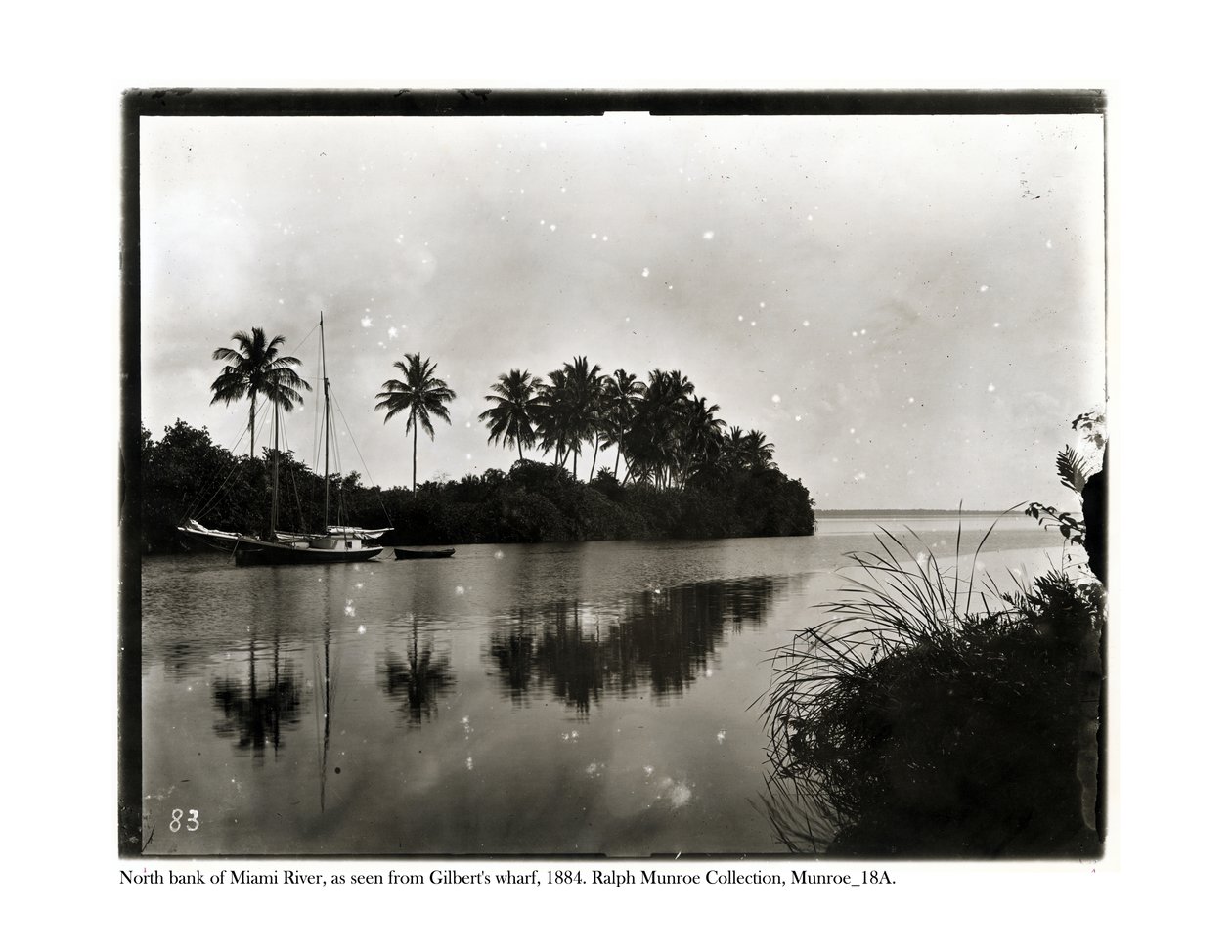 Rive nord de la rivière Miami, vue depuis Ghilberts Wharf, 1884 - American Photographer