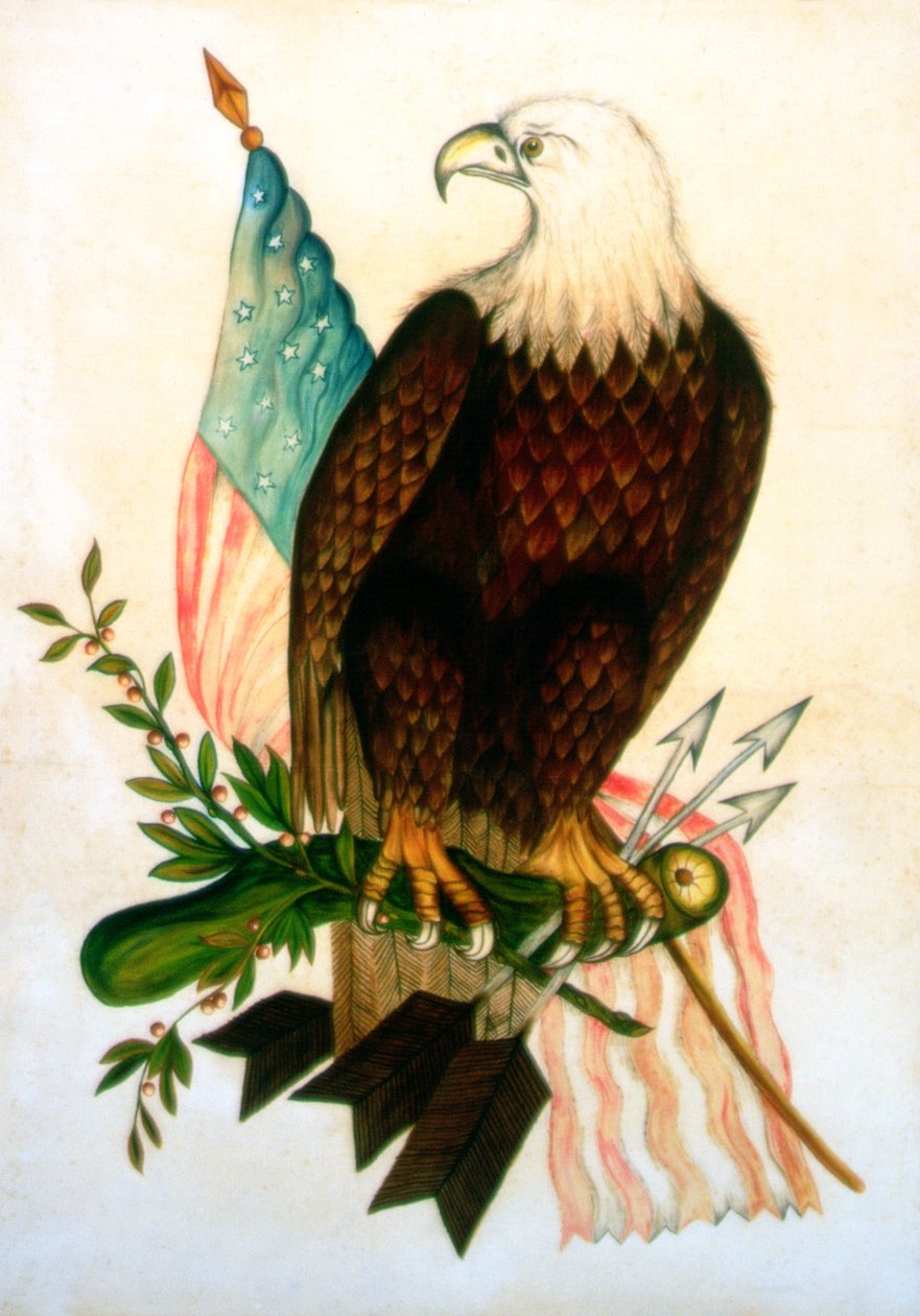 Pygargue à tête blanche avec drapeau - American School