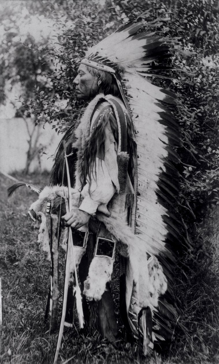 Loup Blanc, un Chef Comanche, c.1891-98 - American School