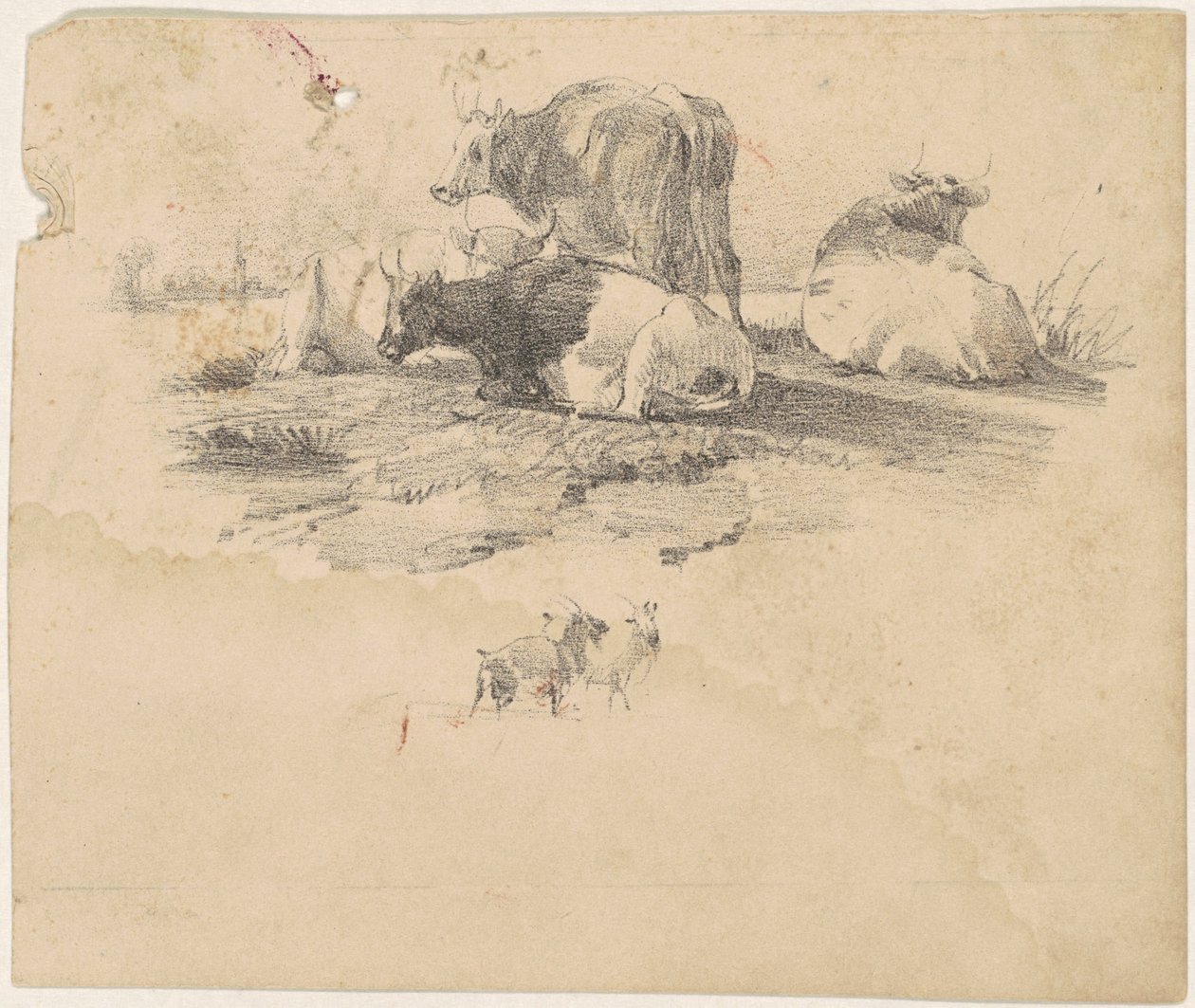 Troupeau de bovins - American 19th Century
