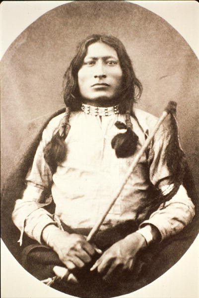One Bull - American Photographer
