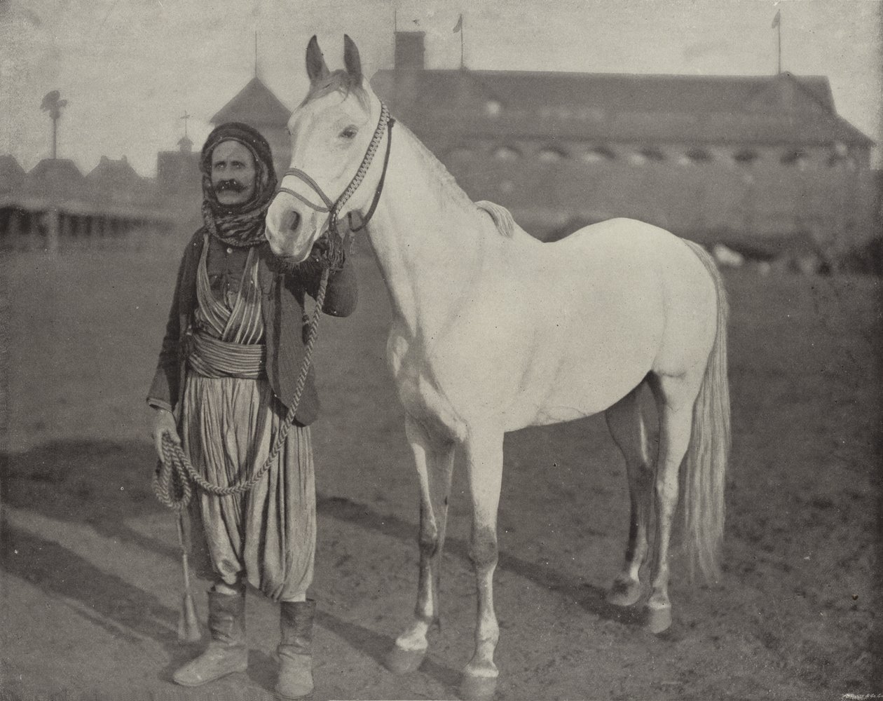 Le cheval de prix des Bédouins - American Photographer