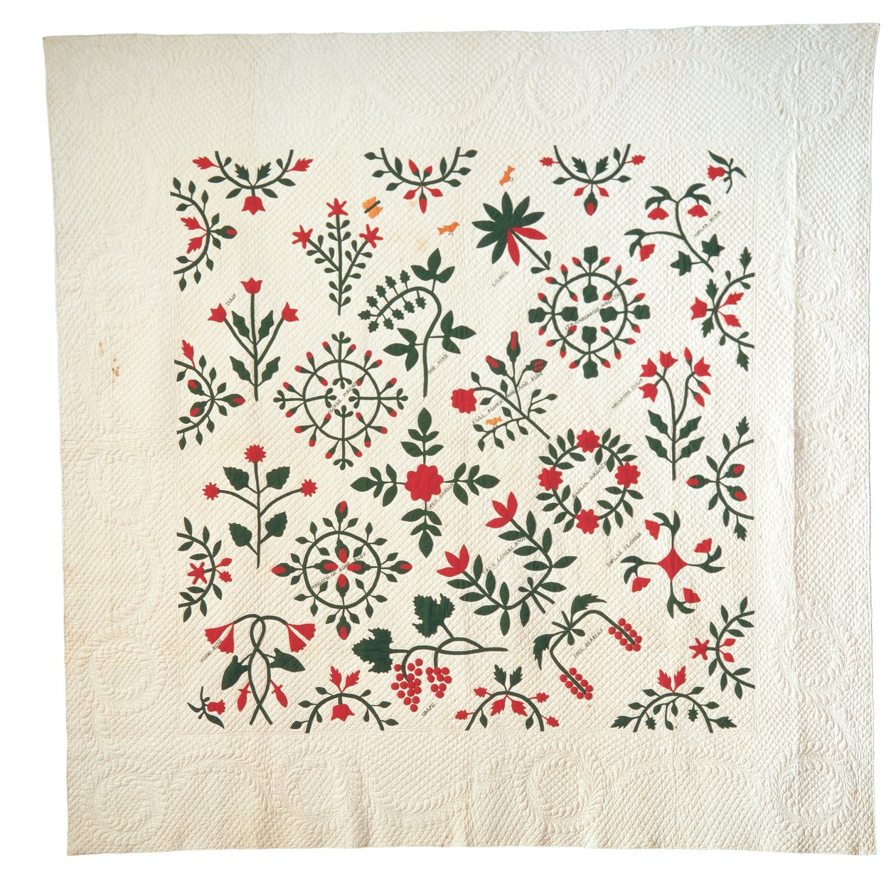 Quilt botanique de jardin appliqué et brodé - American School