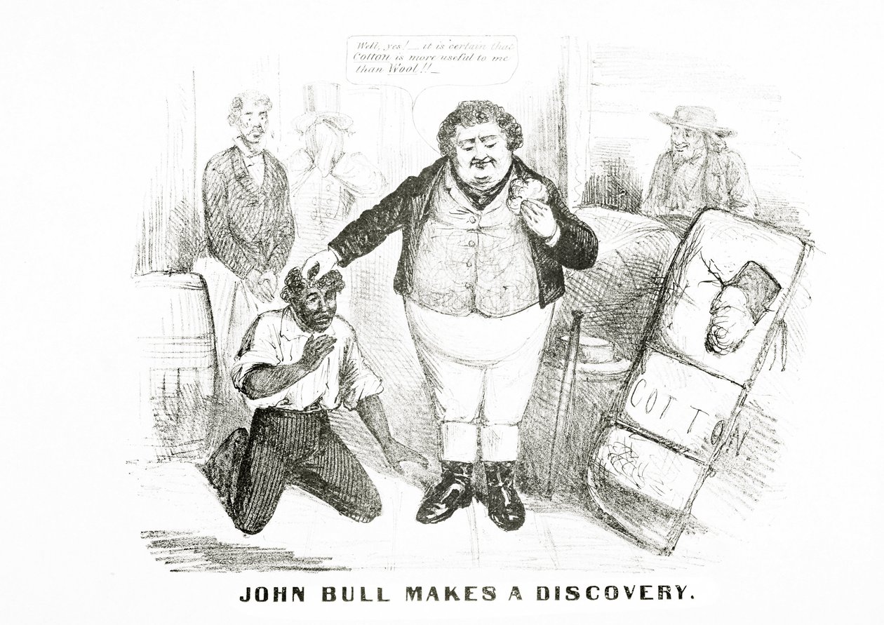 John Bull fait une découverte (lithographie) - American School