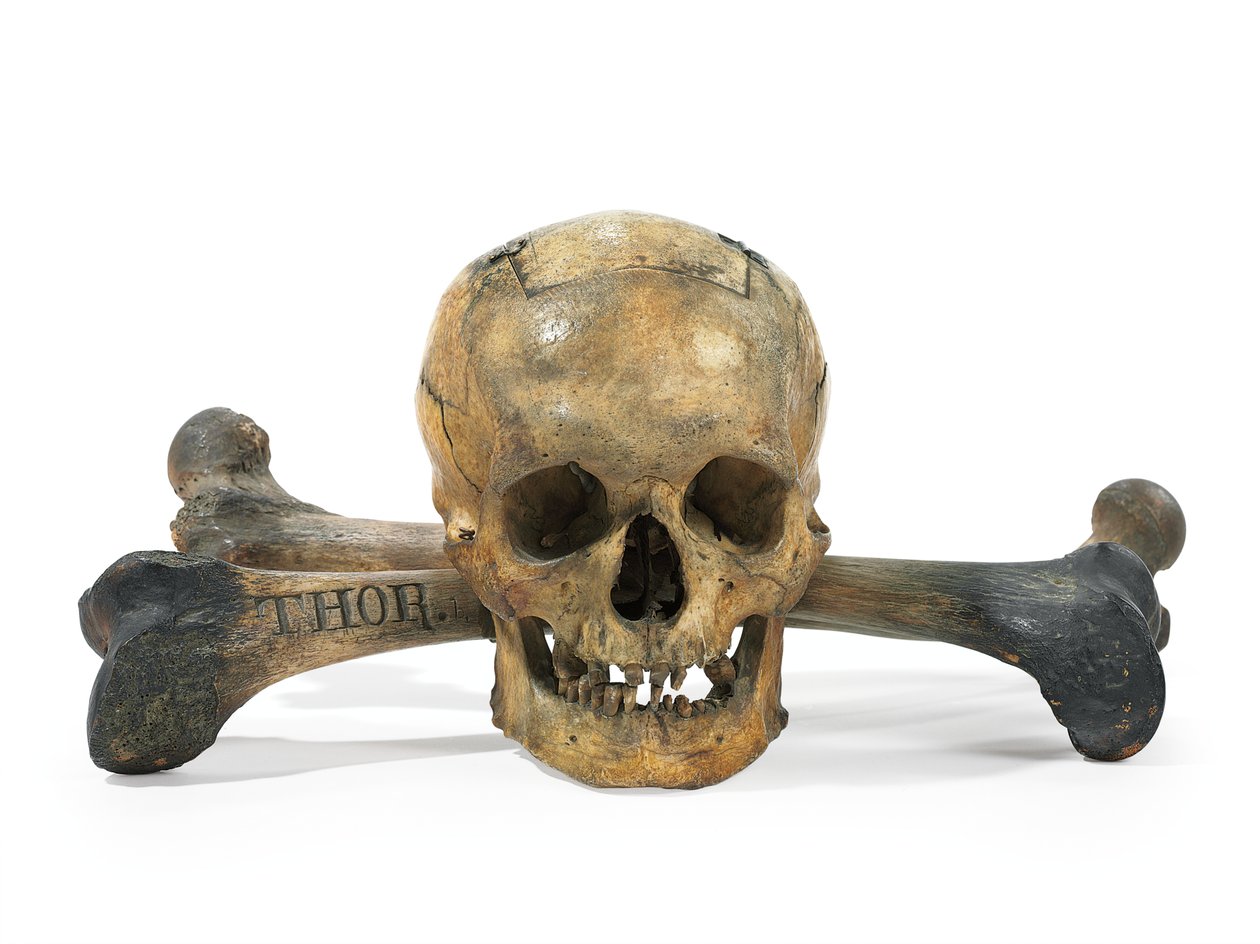 Boîte de scrutin Skull-and-Bones - American School