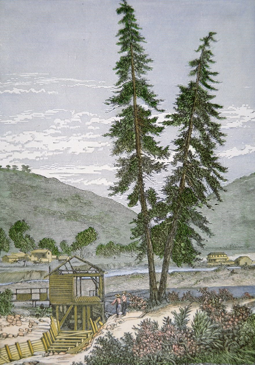 Moulin de Sutter - American School