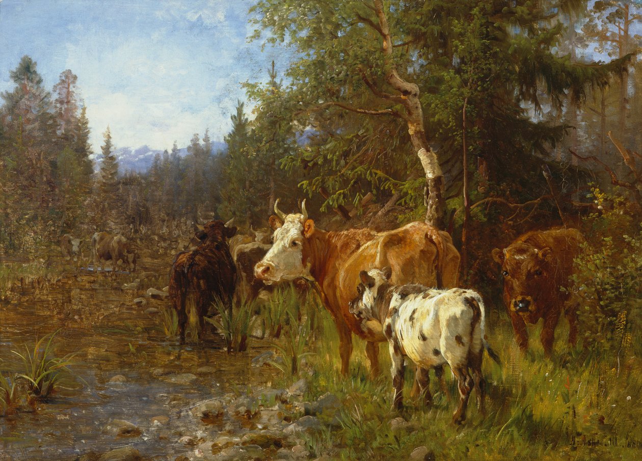 Vaches près du poste d