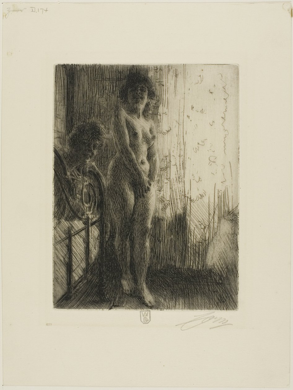 Un coin sombre - Anders Leonard Zorn
