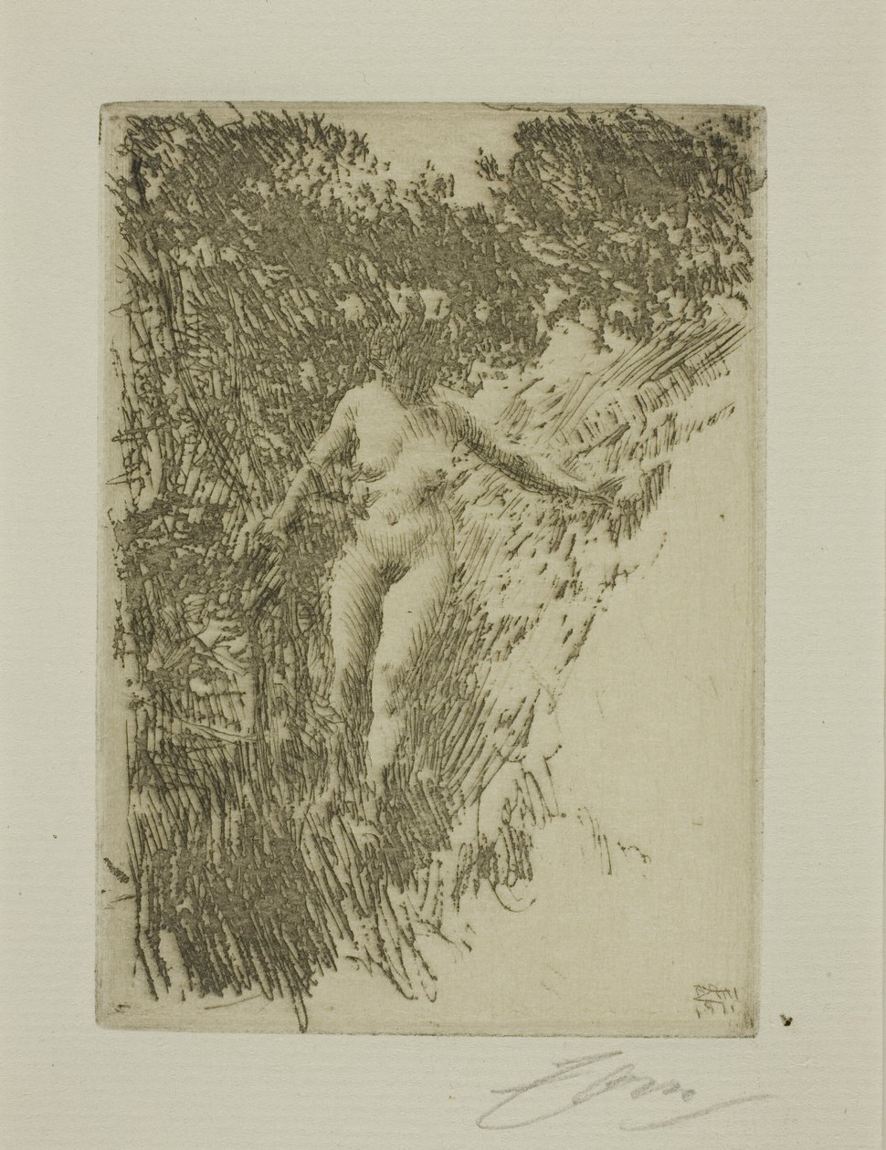 Fagot - Anders Leonard Zorn