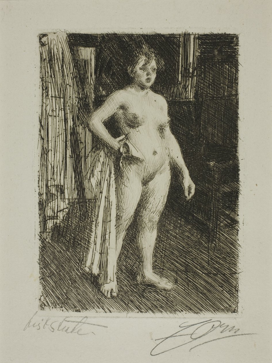 Vénus de la Villette - Anders Leonard Zorn