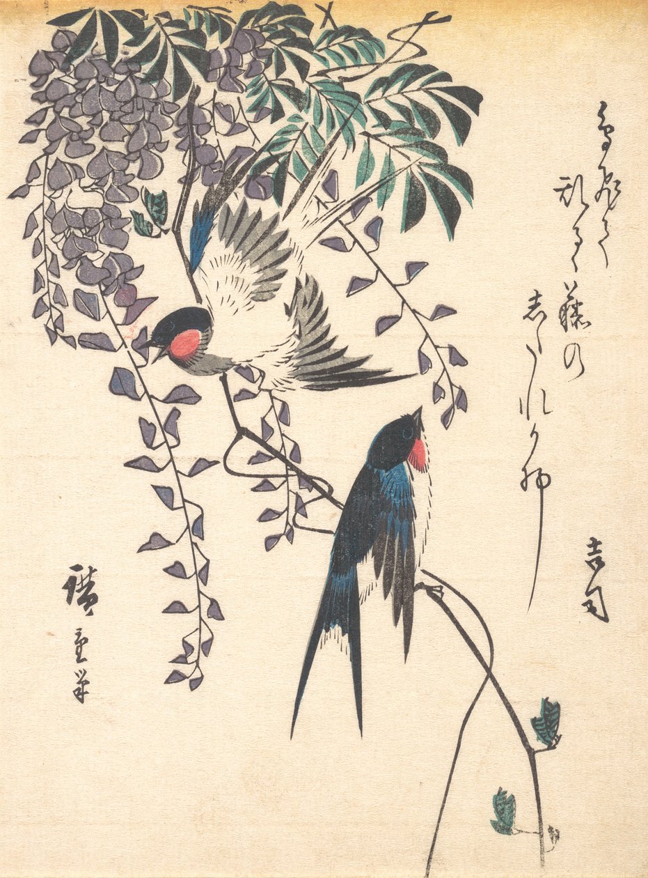Hirondelle et glycine, milieu des années 1840 - Ando Hiroshige