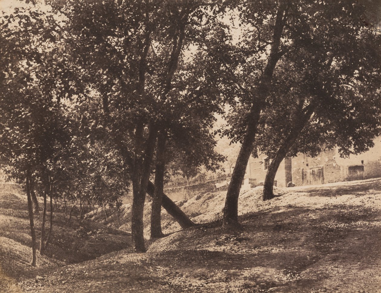 Arbres, vers 1855 - André Giroux