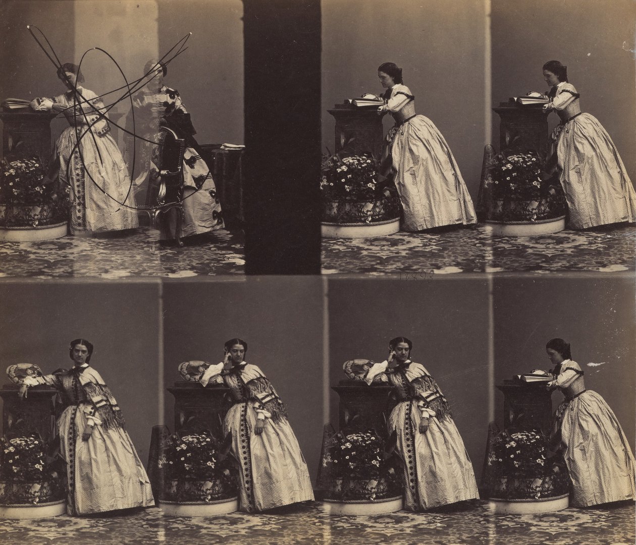 V Queniaus, mai-juin 1860 - Andre Adolphe Eugene Disderi