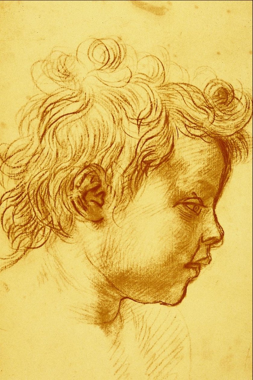 Andrea del Sarto - Andrea del Sarto