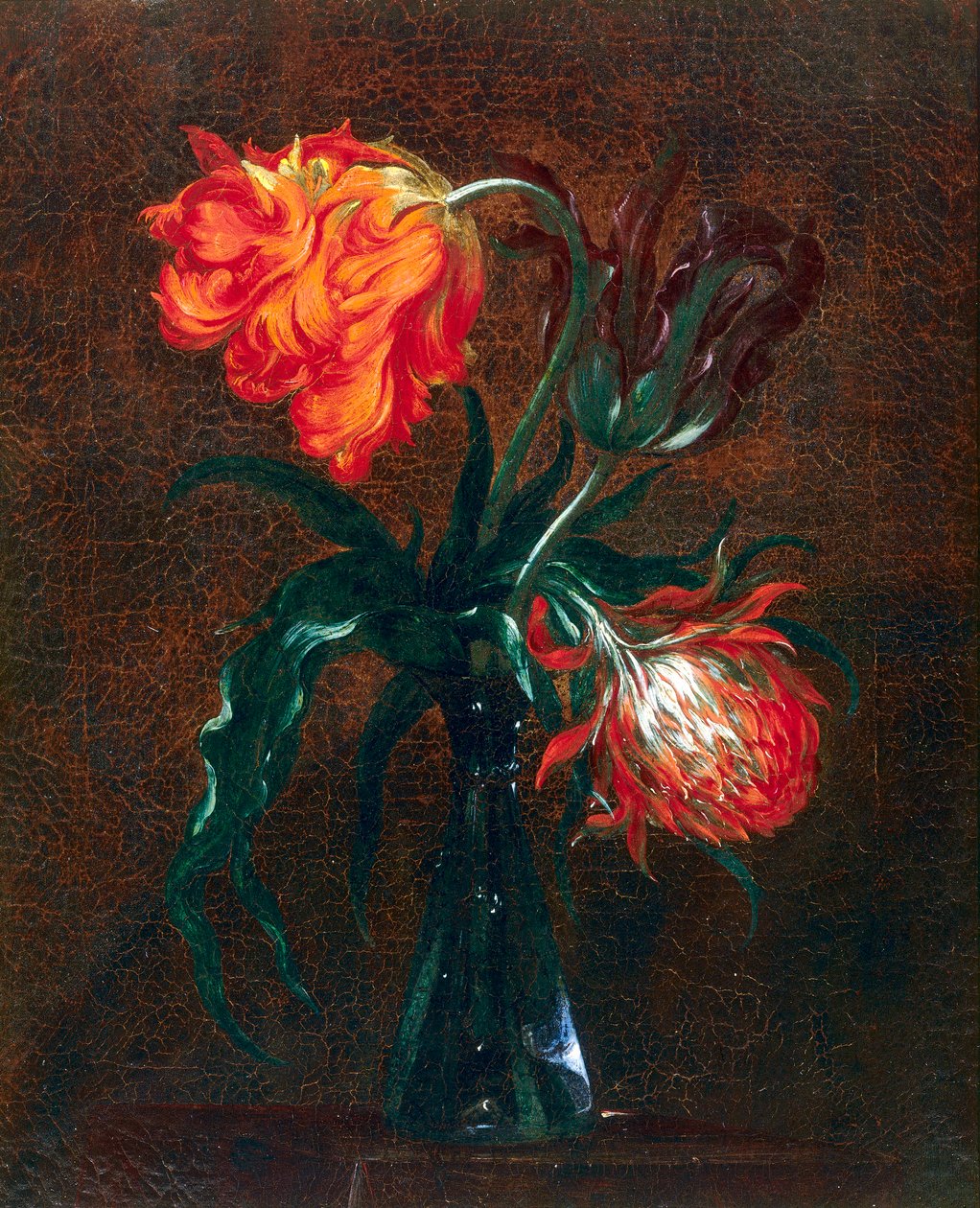 Vase en verre avec deux tulipes - Andrea the Elder Scacciati