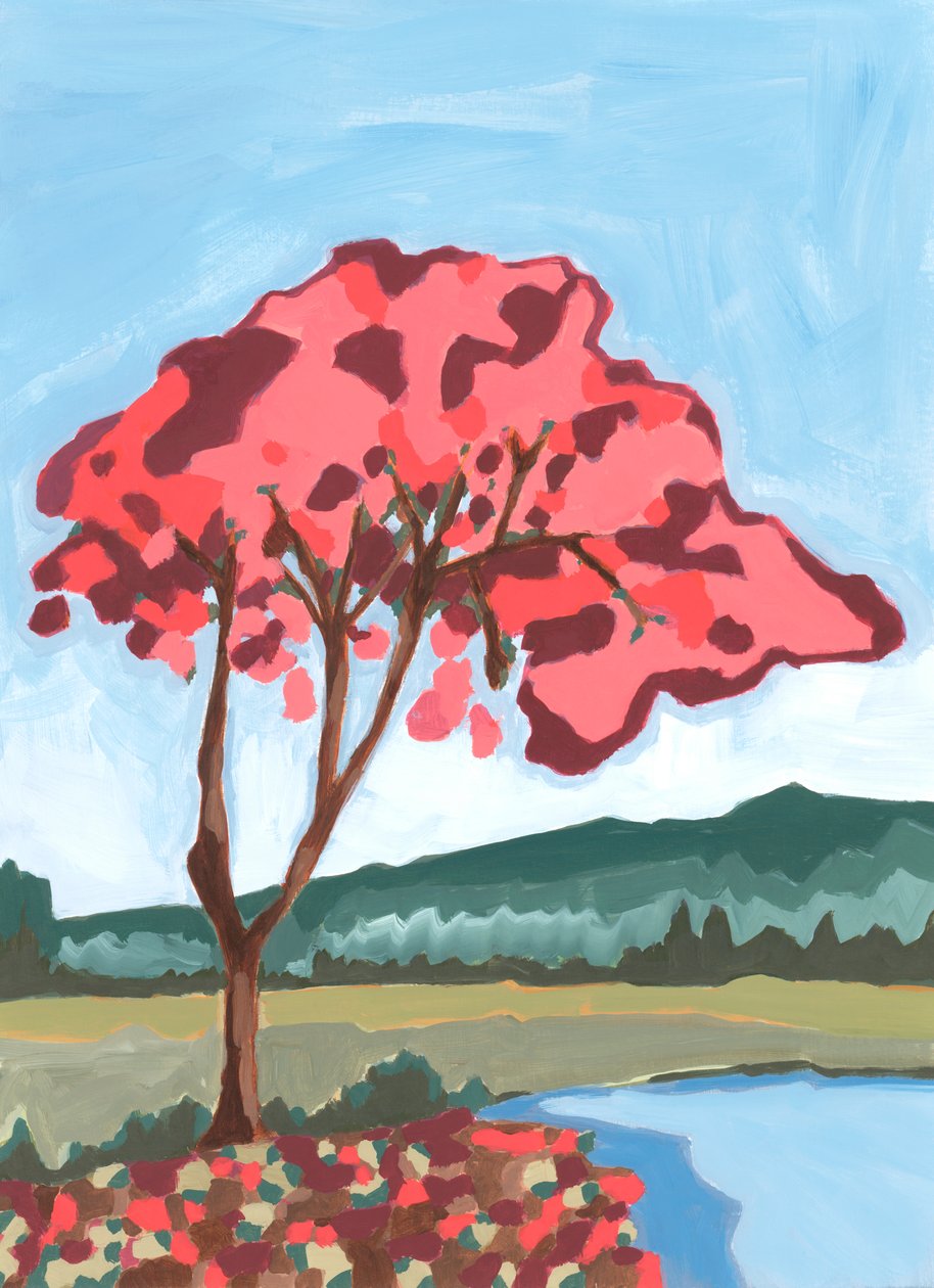 Acacia, 2024 - Andrea Mejia