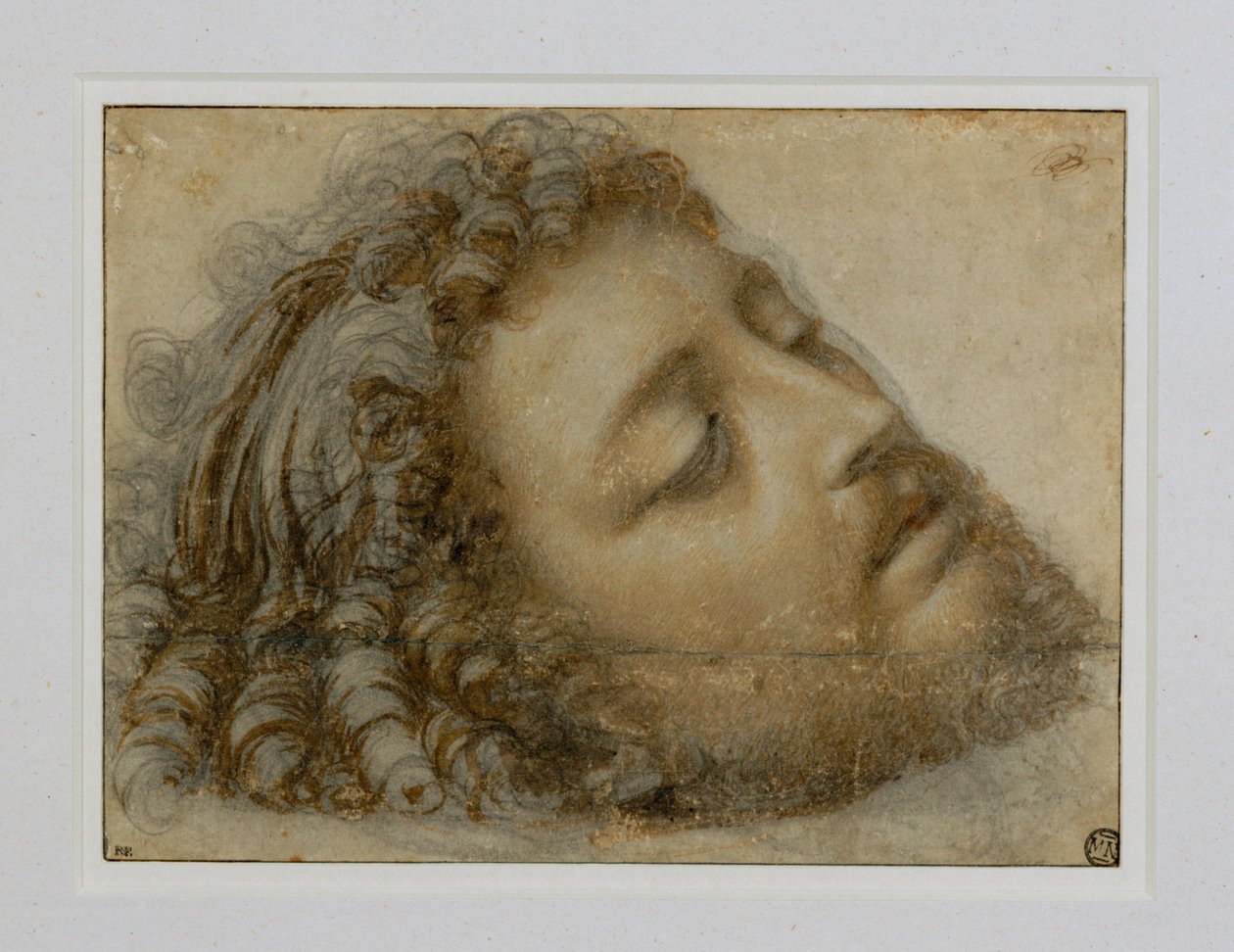 Tete de Saint Jean-Baptiste … - Andrea Solario