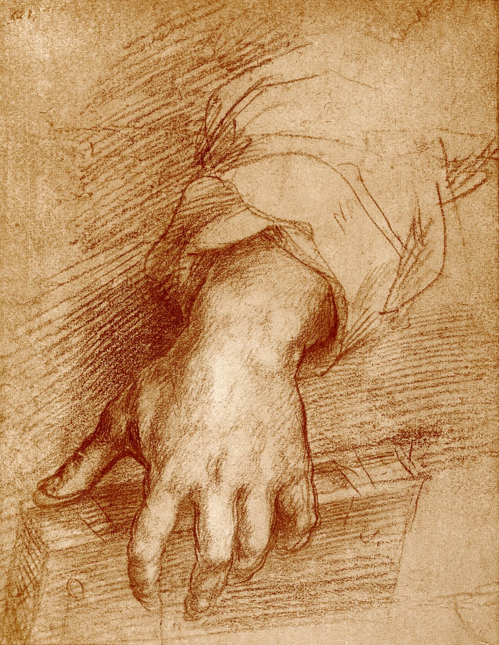 Main de la Madone avec livre - Andrea del Sarto