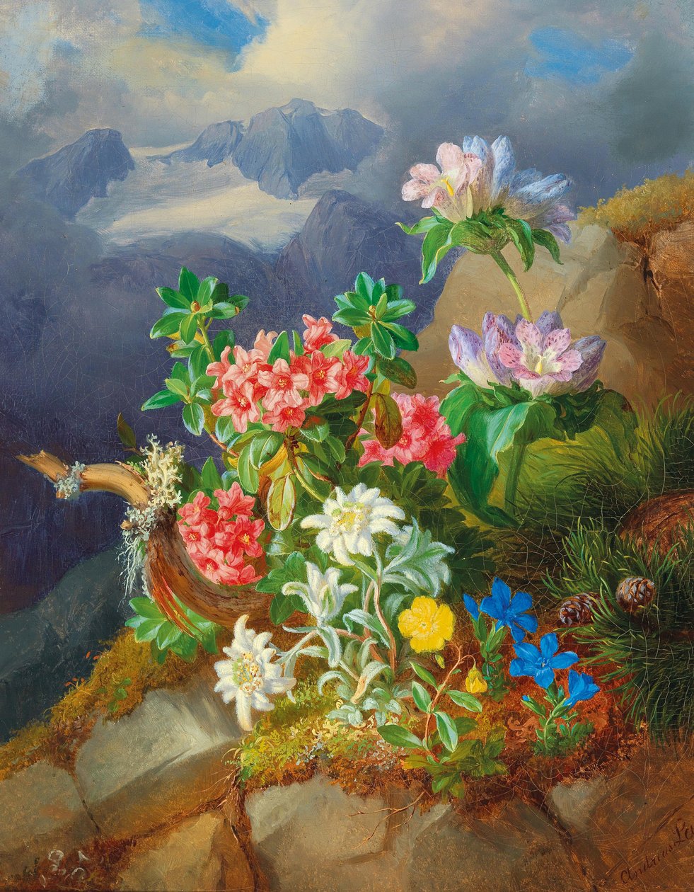 Fleurs des Alpes - Andreas Lach