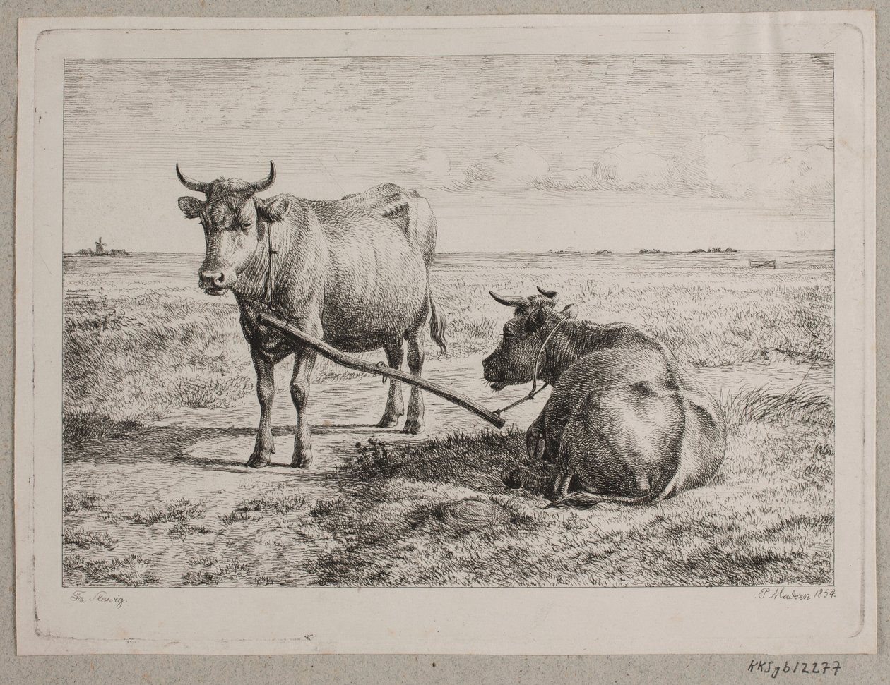Danois : deux vaches reliées entre elles - Andreas Peter Madsen