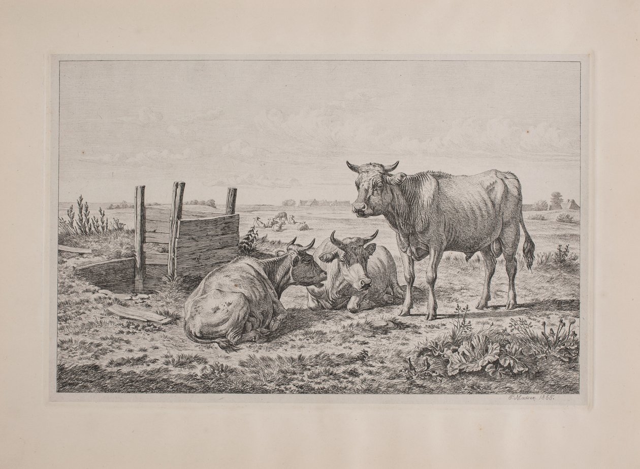 Un taureau et deux vaches - Andreas Peter Madsen