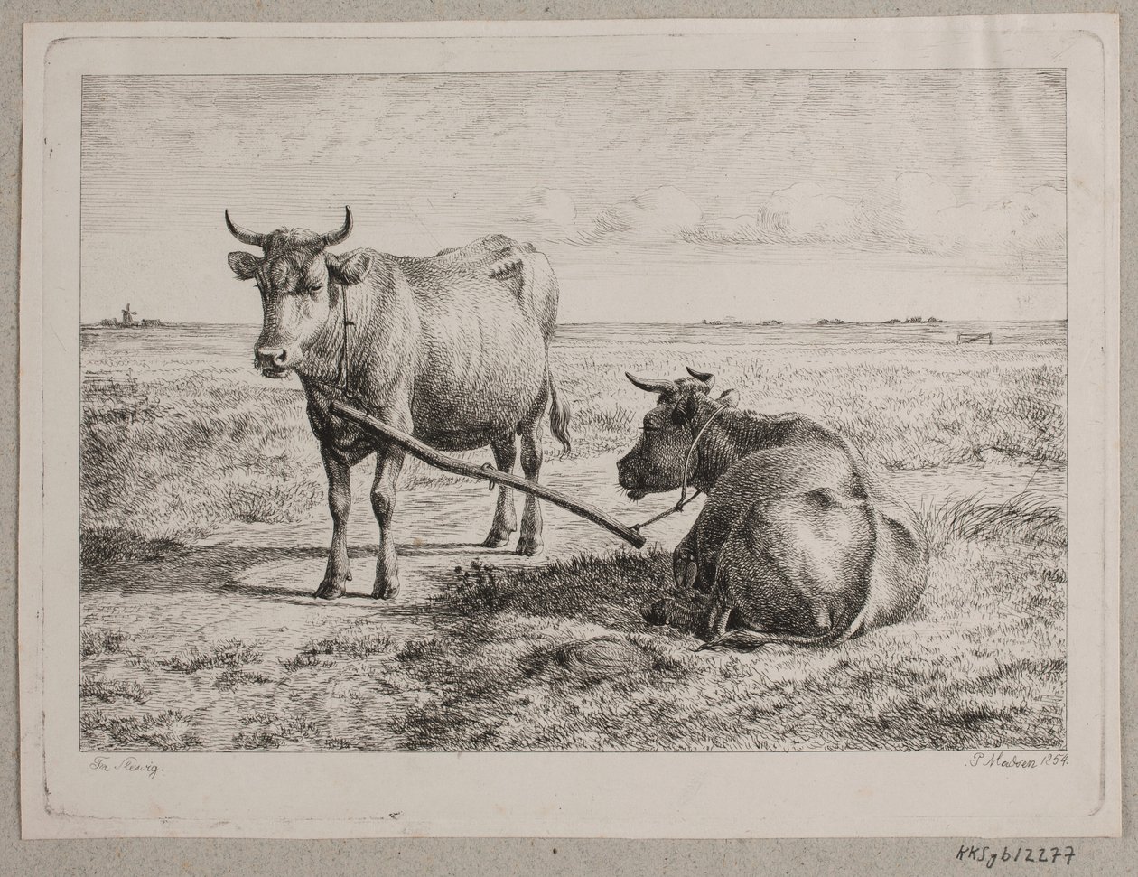 Deux vaches attachées ensemble - Andreas Peter Madsen
