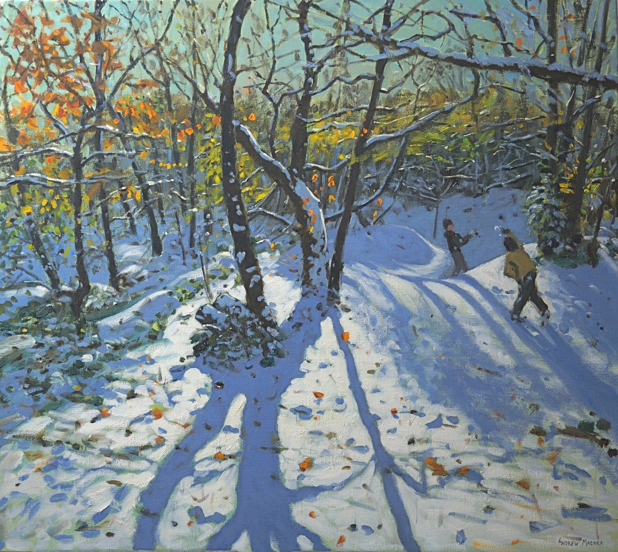 Bois du parc Allestree novembre, 2010 - Andrew Macara
