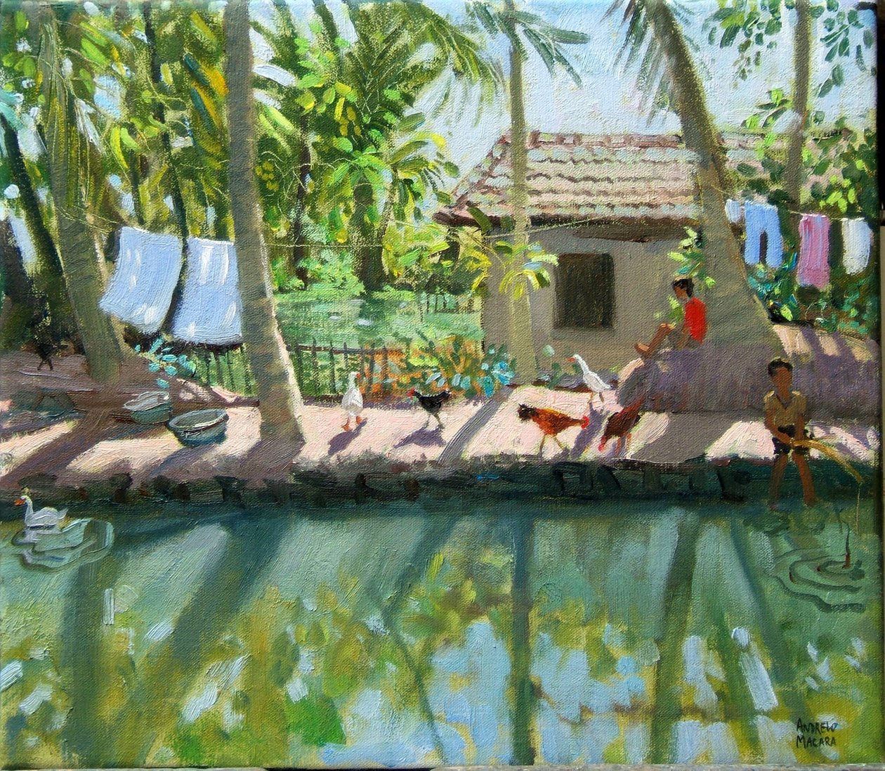 Backwaters, Inde - Andrew Macara