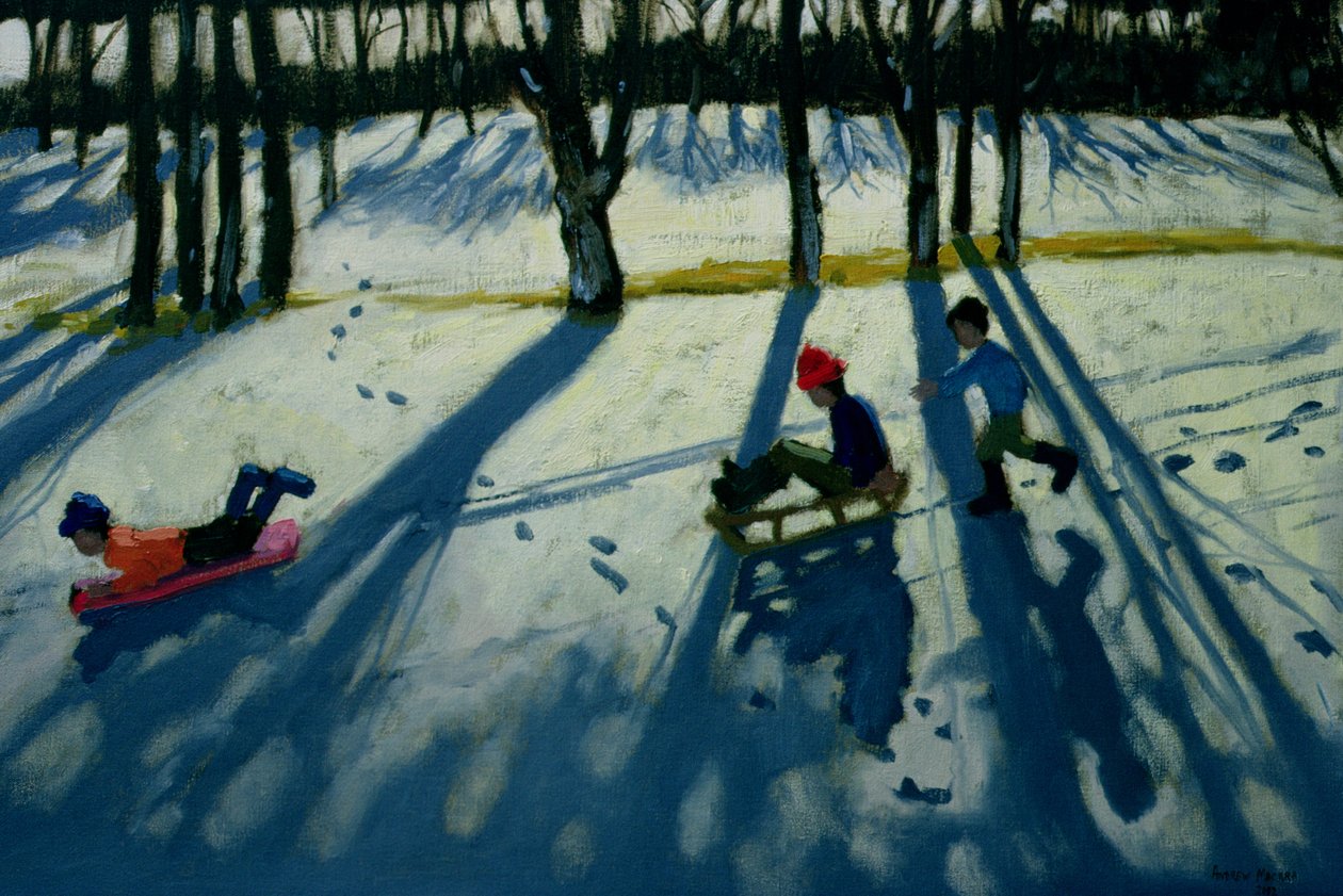 Garçons faisant de la luge, Allestree Park, Derby - Andrew Macara