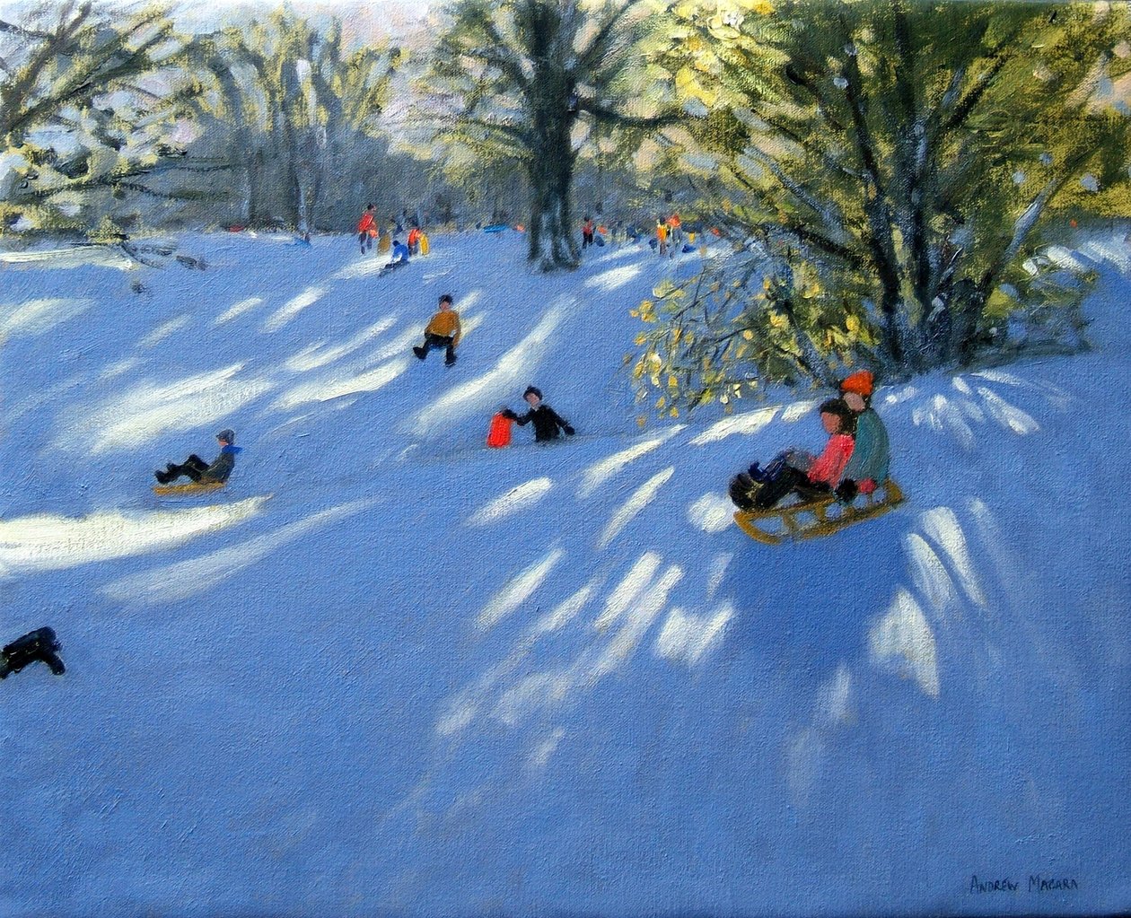 Première neige, Darley Park, Derby - Andrew Macara