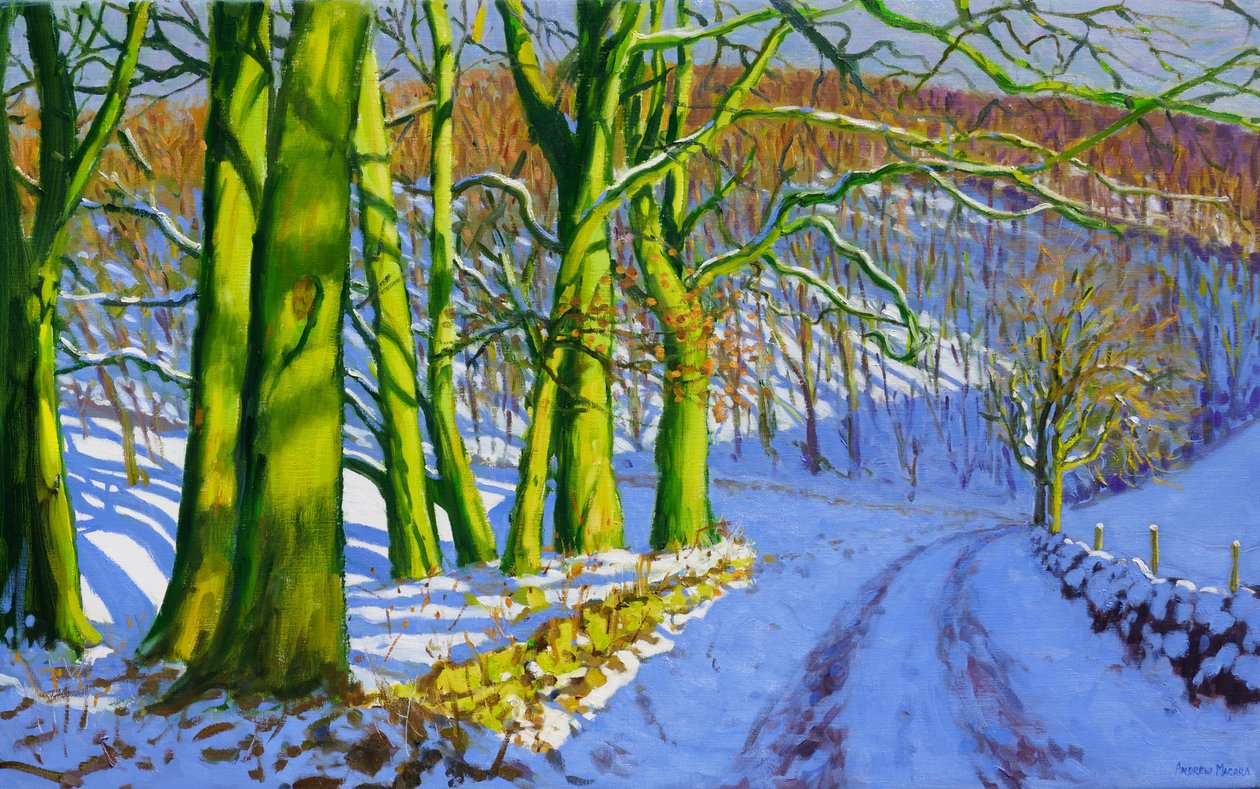 Arbres verts, hiver; Dam Lane; Derbyshire - Andrew Macara