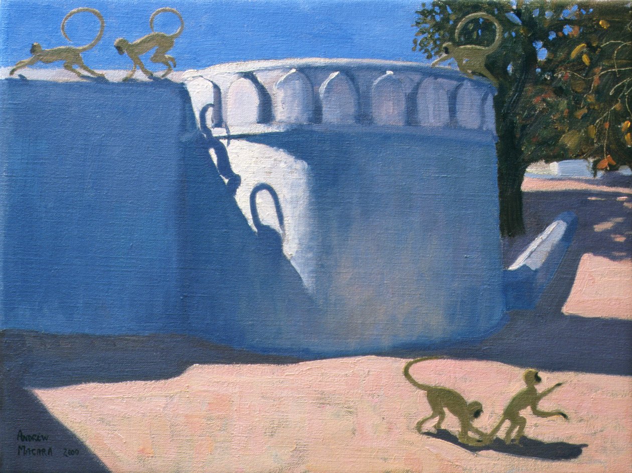 Temple des Singes, Inde, 2000 - Andrew Macara