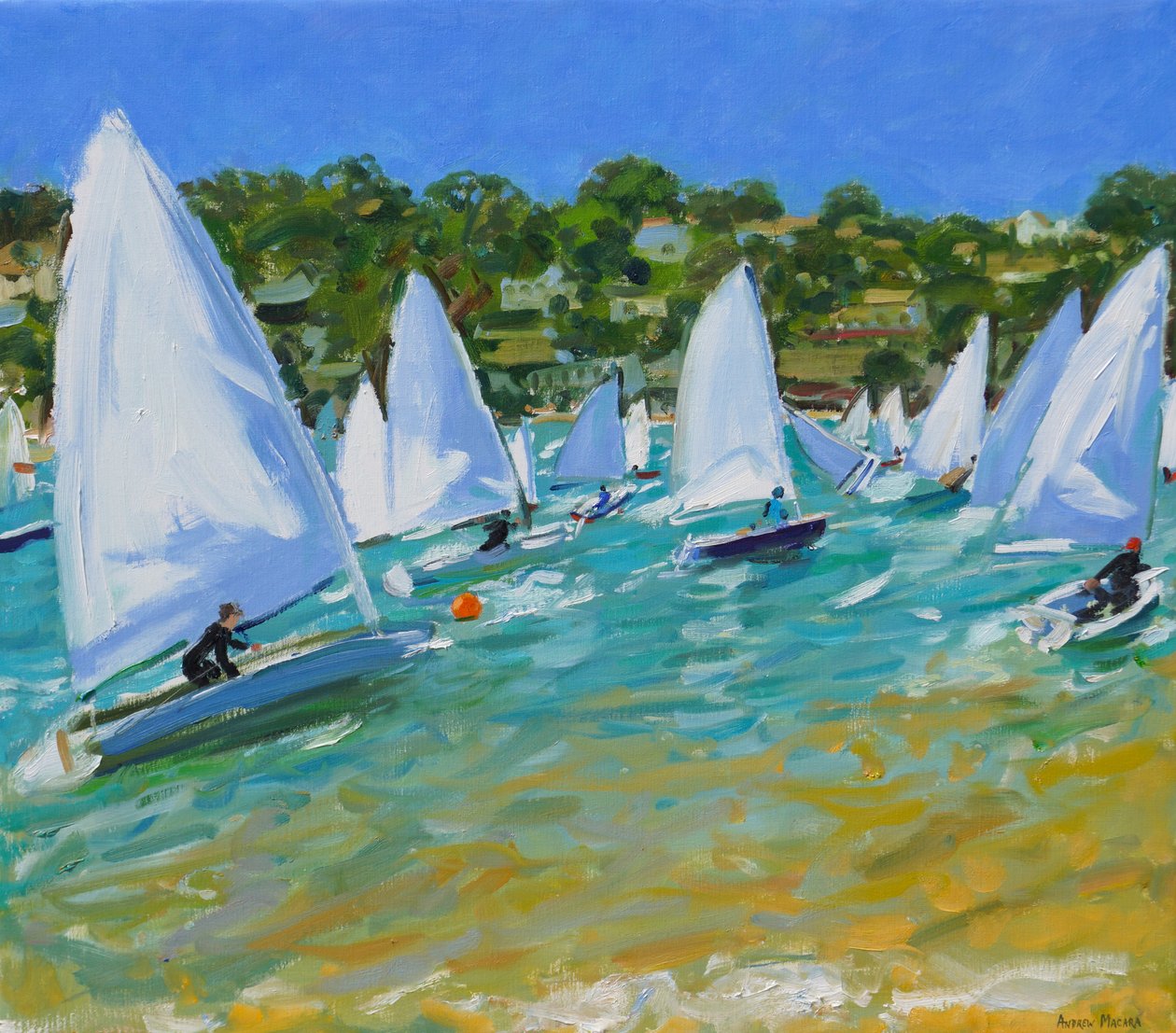 Course de voiliers - Andrew Macara