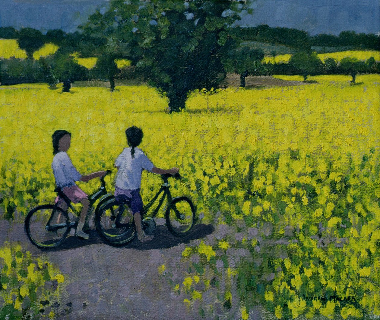 Champ jaune, Kedleston, Derby - Andrew Macara
