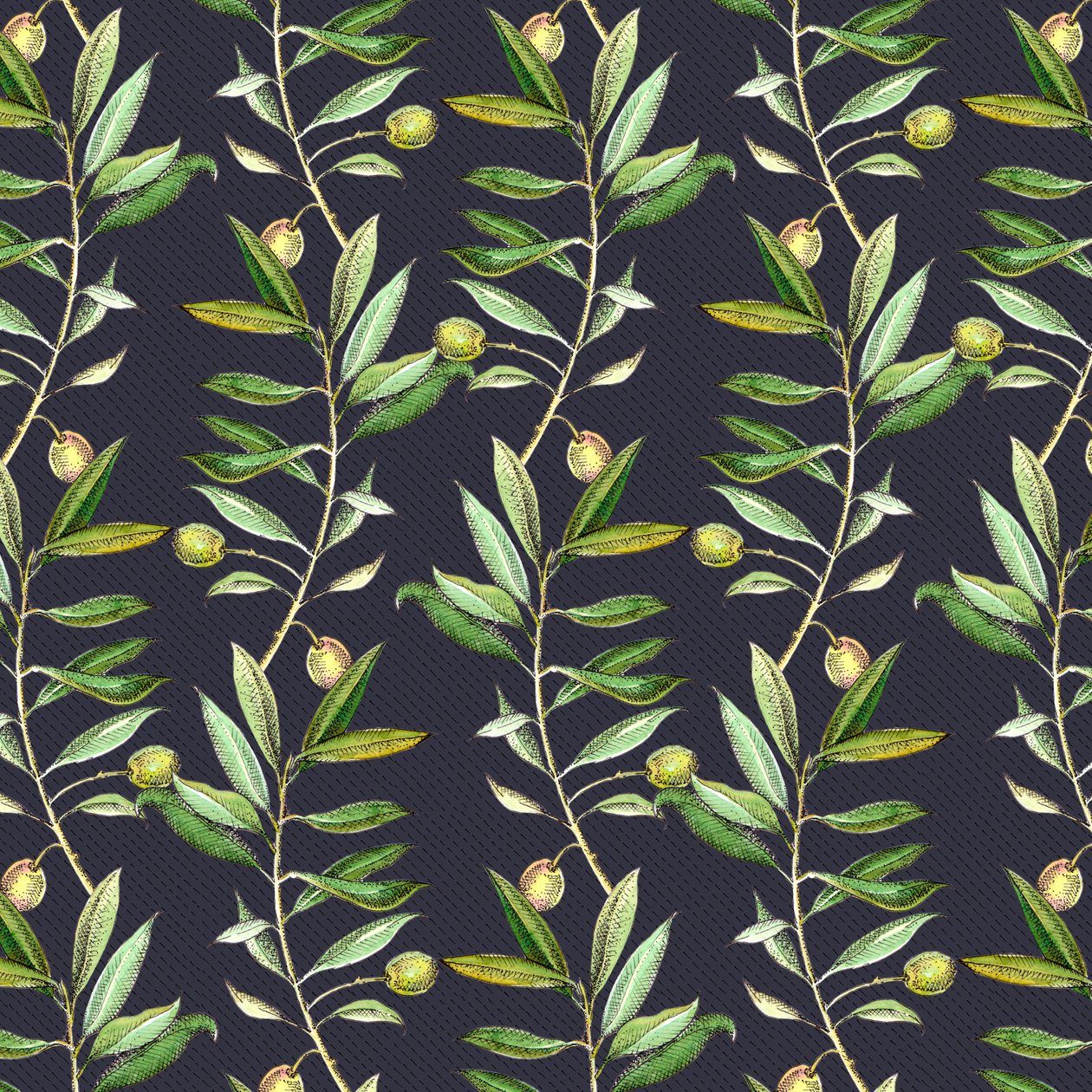 Branches d
