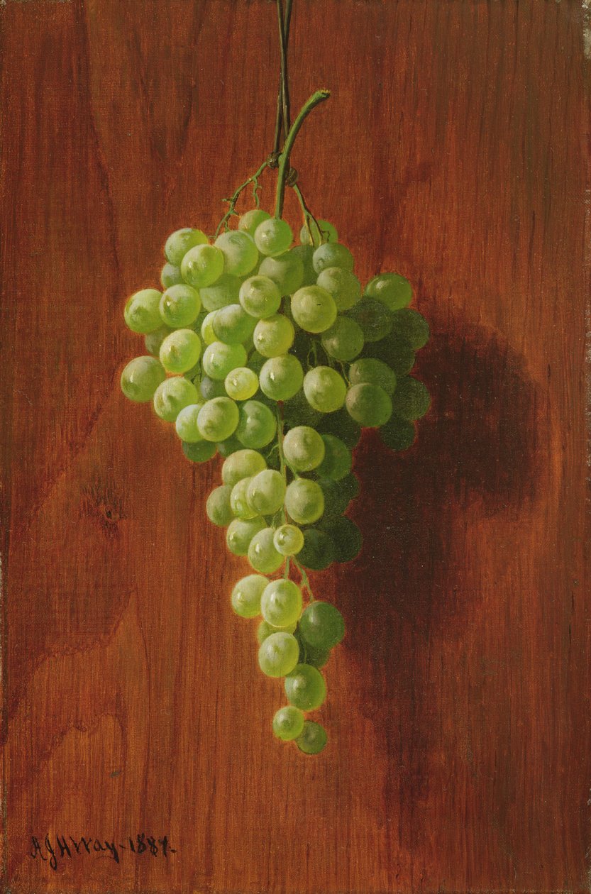 Raisins (verts) - Andrew John Henry Way