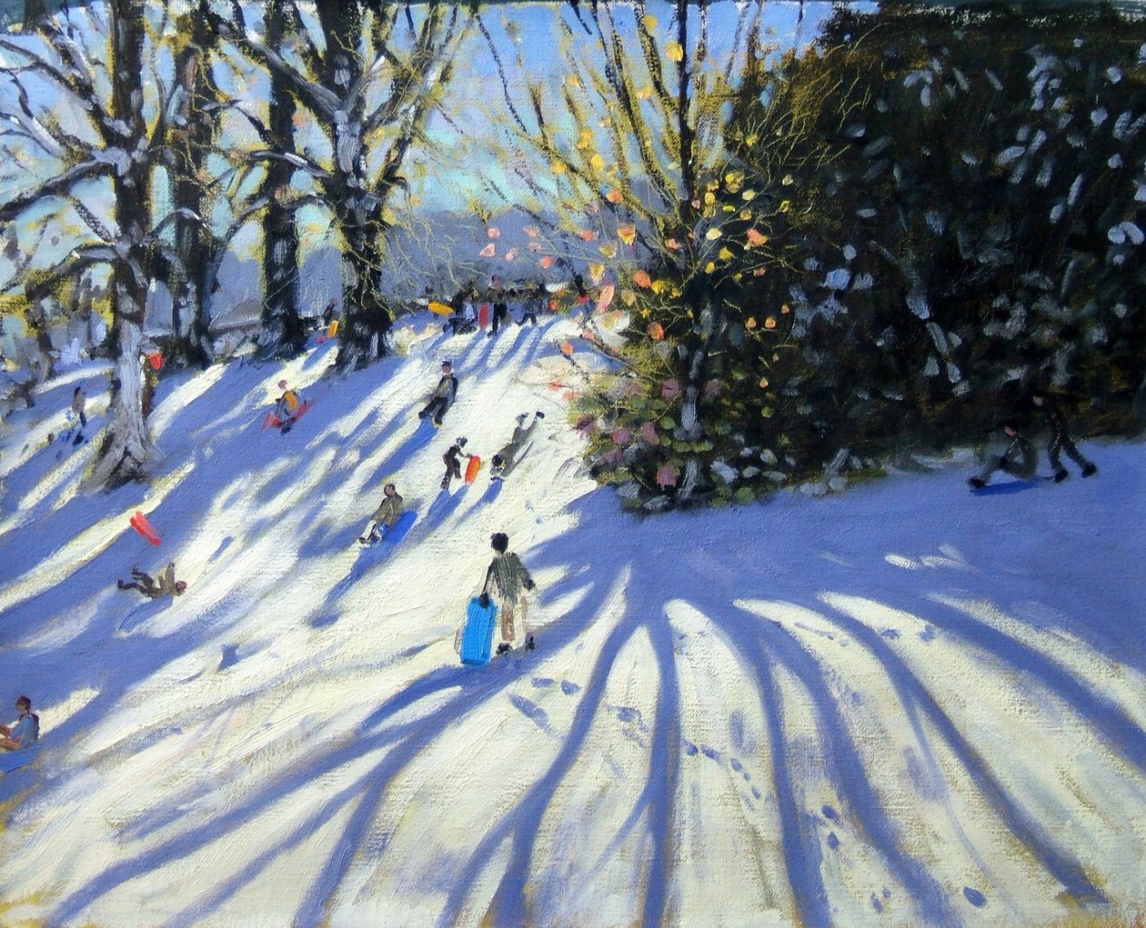Première neige, Darley Park - Andrew Macara