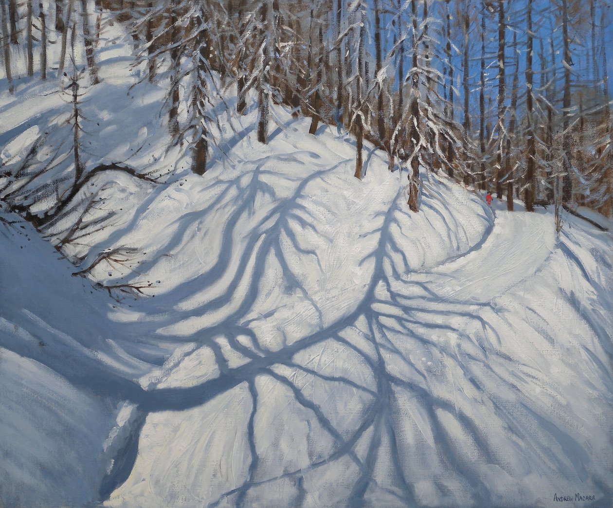 Ombres de sapin, Tignes, 2009 - Andrew Macara