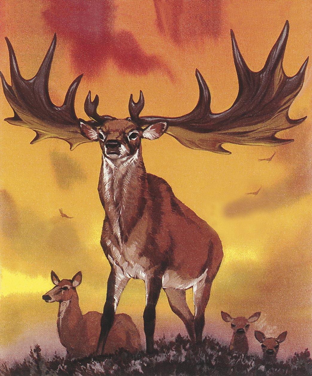 Géant chacun - Angus McBride